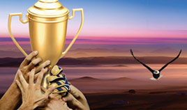 Kaiyuan Game card(图1)