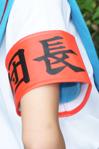 APP下载-中药大血藤的功效与作用(图2) APP下载